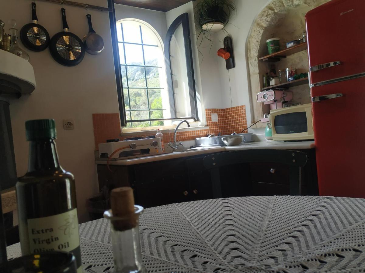 Xenios Z Rustic Rural Cottage Karidi 外观 照片