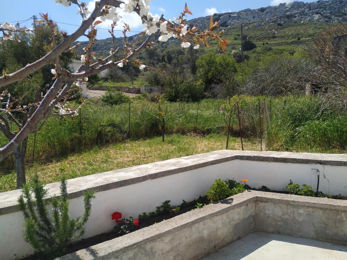 Xenios Z Rustic Rural Cottage Karidi 外观 照片