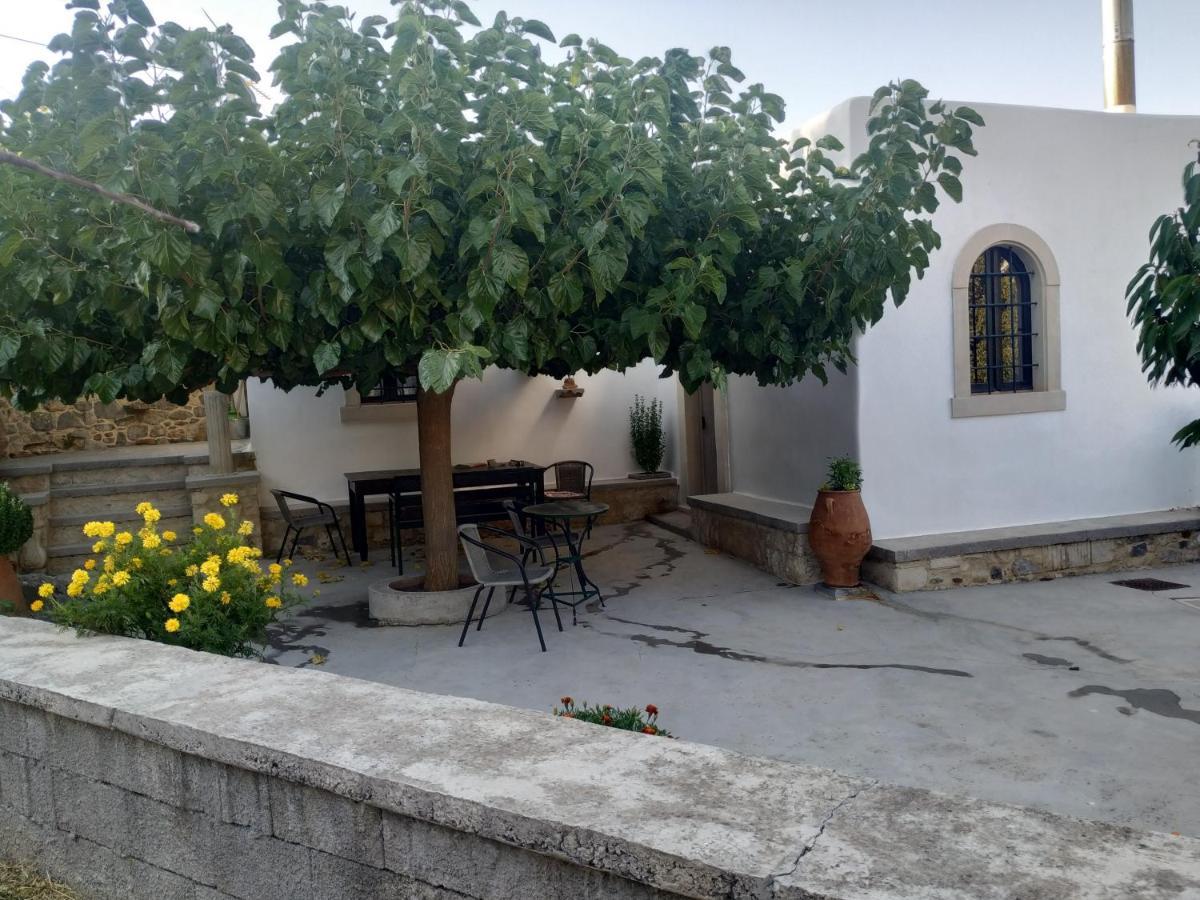 Xenios Z Rustic Rural Cottage Karidi 外观 照片